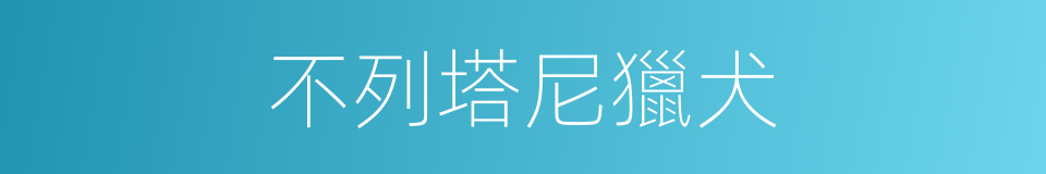 不列塔尼獵犬的同義詞