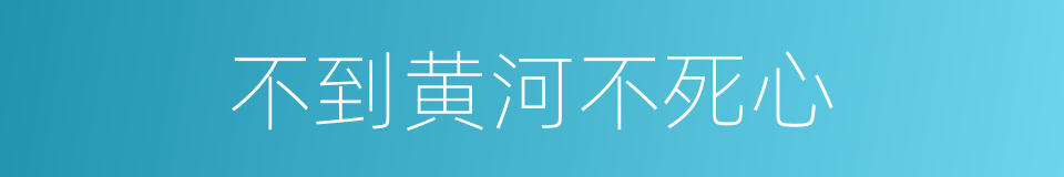 不到黄河不死心的同义词