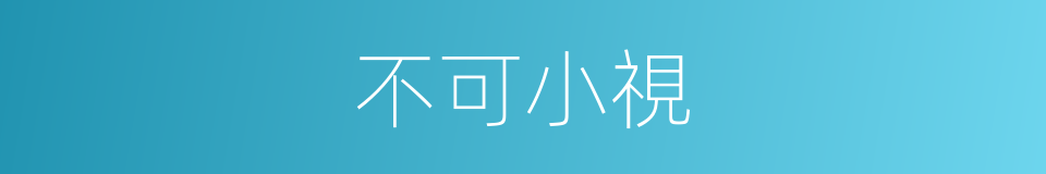 不可小視的意思
