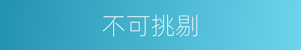 不可挑剔的意思