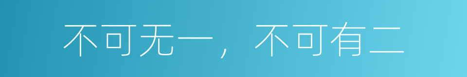 不可无一，不可有二的同义词