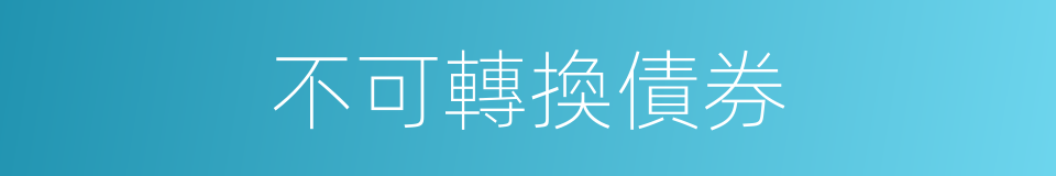 不可轉換債券的同義詞