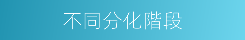 不同分化階段的同義詞