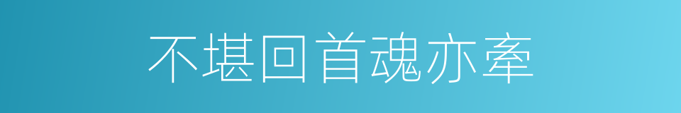 不堪回首魂亦牽的同義詞