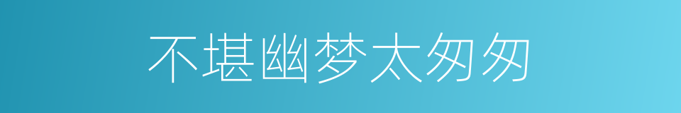 不堪幽梦太匆匆的同义词