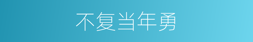 不复当年勇的同义词