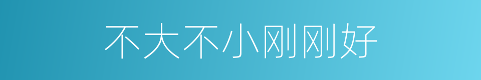 不大不小刚刚好的同义词