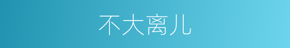 不大离儿的意思
