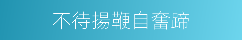 不待揚鞭自奮蹄的同義詞