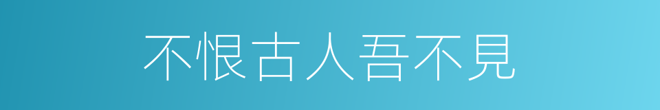 不恨古人吾不見的同義詞