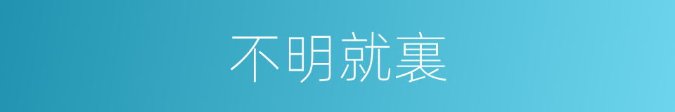 不明就裏的意思