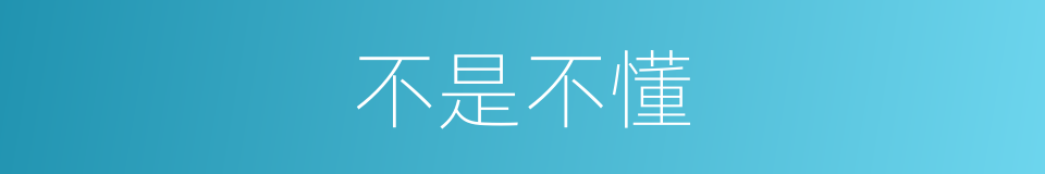 不是不懂的同义词