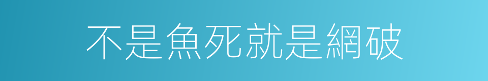不是魚死就是網破的同義詞