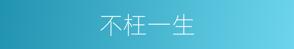 不枉一生的同义词