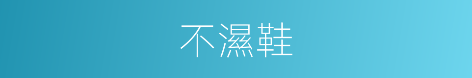 不濕鞋的同義詞