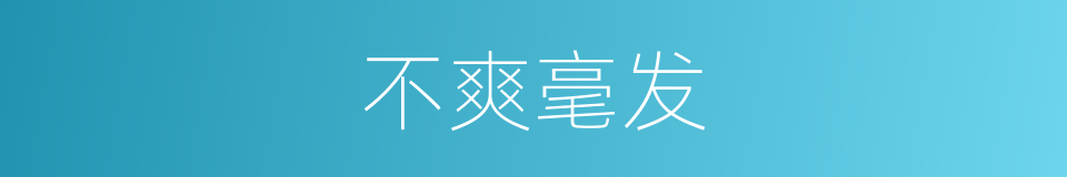 不爽毫发的意思