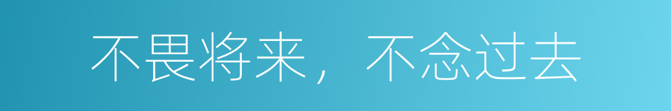 不畏将来，不念过去的同义词