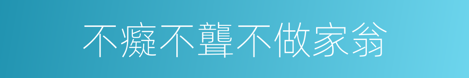 不癡不聾不做家翁的同義詞