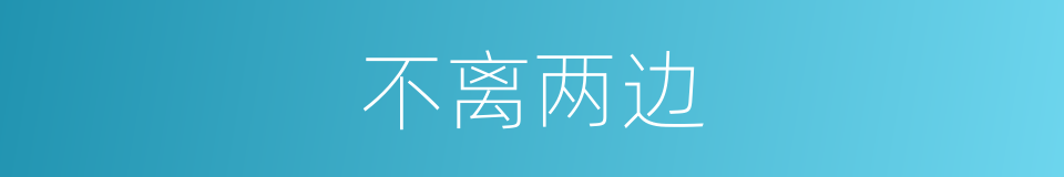 不离两边的同义词
