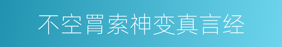 不空罥索神变真言经的同义词