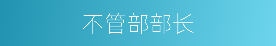 不管部部长的同义词