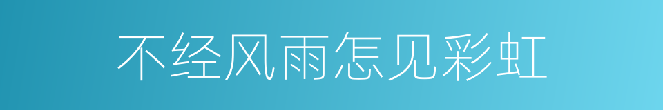 不经风雨怎见彩虹的同义词