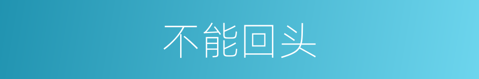 不能回头的同义词