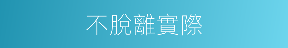 不脫離實際的同義詞