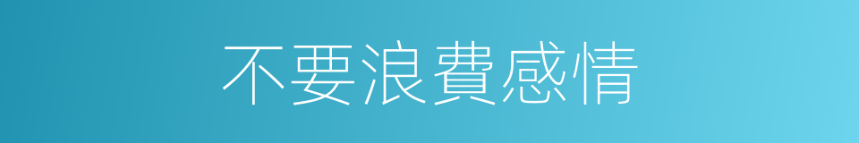 不要浪費感情的同義詞