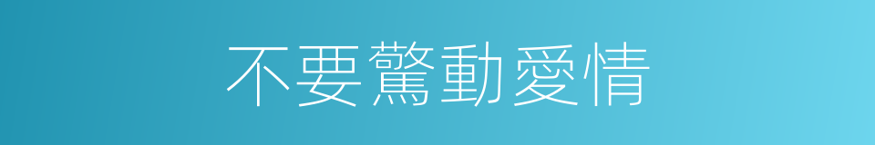 不要驚動愛情的同義詞