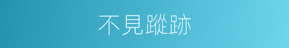 不見蹤跡的同義詞