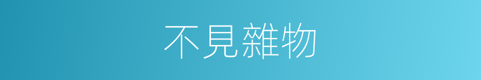 不見雜物的同義詞