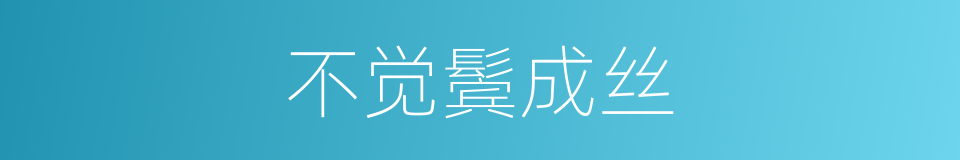 不觉鬓成丝的同义词