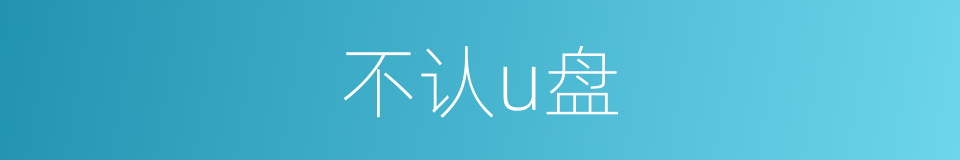 不认u盘的同义词