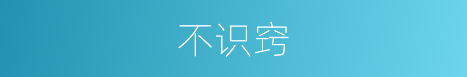不识窍的意思