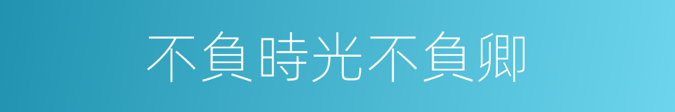 不負時光不負卿的同義詞