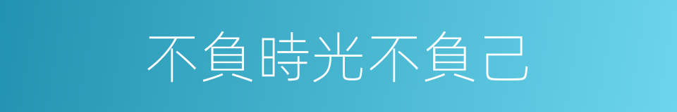 不負時光不負己的同義詞