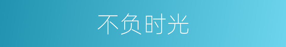 不负时光的同义词