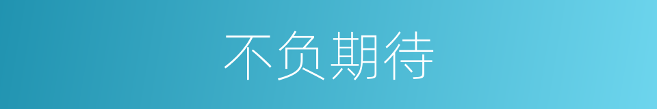 不负期待的同义词