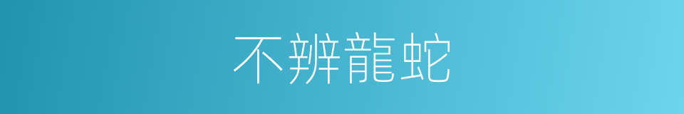 不辨龍蛇的意思