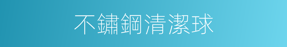 不鏽鋼清潔球的同義詞