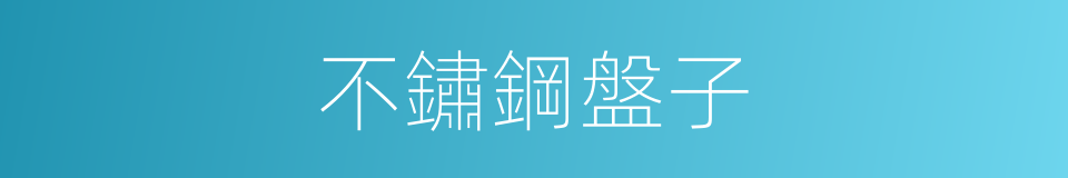 不鏽鋼盤子的同義詞