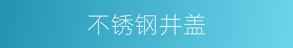 不锈钢井盖的同义词