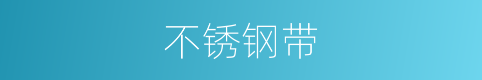不锈钢带的同义词