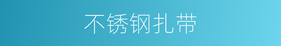 不锈钢扎带的同义词