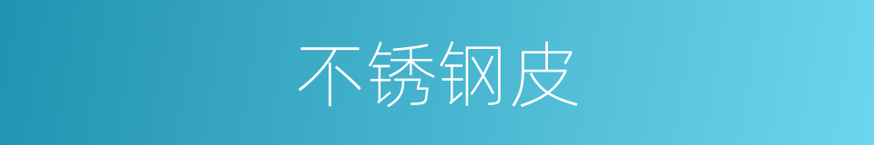 不锈钢皮的同义词
