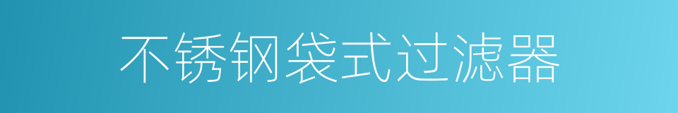 不锈钢袋式过滤器的同义词