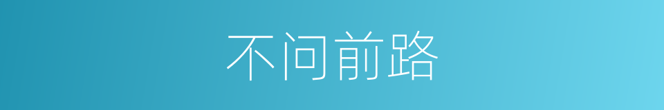 不问前路的同义词