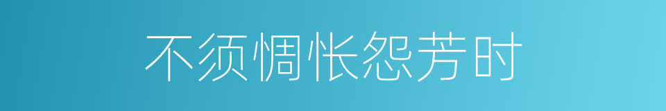 不须惆怅怨芳时的同义词