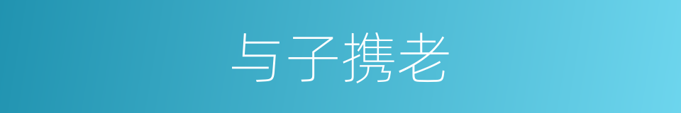 与子携老的同义词